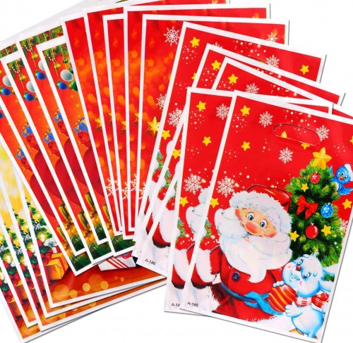 Набор пакетов подарочных новогодних 10 штук 25*17 см. ДЕД МОРОЗ